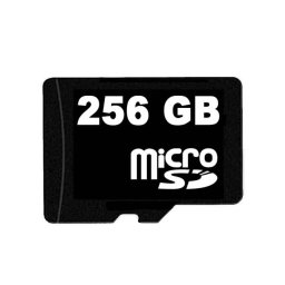 Card de memorie microSD 256 GB pentru camere DVR auto Autolensa
