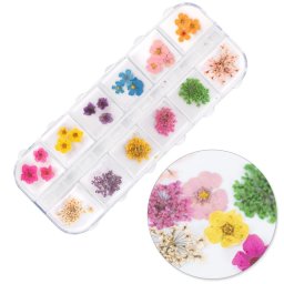 Set flori uscate Mix Bouquet