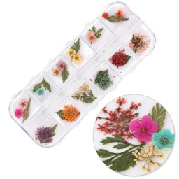 Set flori uscate Mix Spring