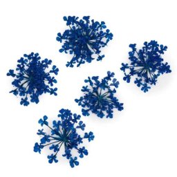 Set flori uscate Nail Art Blue