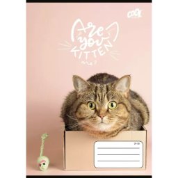 Cool by Victoria: Cats Forever caiet dictando A5 – diverse modele