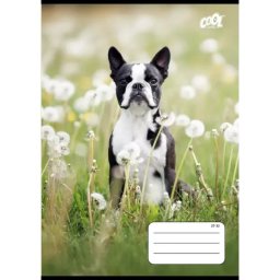 Cool by Victoria: Cu pătrățele A5 alb-negru cu câini – mai multe modele