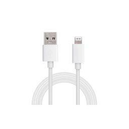 Cablu incarcator-date USB2.0 A tata - Lightning 1m 2A Well CABLE-USB/LIGHT-1WE05-WL