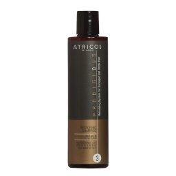 Șampon pentru Repararea și Fortificarea Fibrei Capilare Atricos Secret Booster, 250 ml