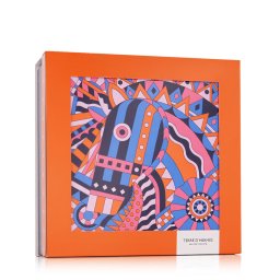Hermès Terre D'Hermès EDT 100 ml + EDT 12.5 ml + AS 40 ml (Barbati)