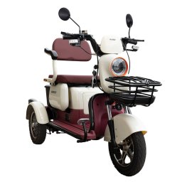 Triciclu Electric Samus KENTUCKY-3R1-10T1000-60V20 Motor 1000W Viteza Maxima 25KM/H Bej/Burgund