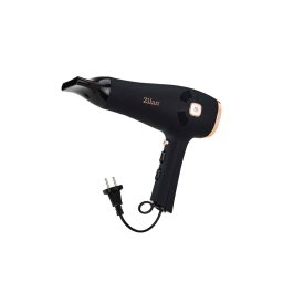 Uscator de par THEMIS, putere 2000W, 2 trepte de viteza ZILAN / ZLN 9143