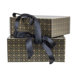 Set 2 cutii cu forma dreptunghiulara, negru / CD4921_negru
