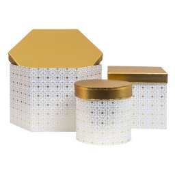 Set 3 cutii cu forme diferite si capac auriu, alb / CD4923-alb