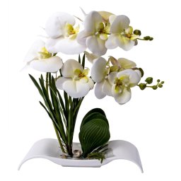 Orhidee cu aspect natural in ghiveci dreptunghiular Ceramica alb, H 40 cm / CD3769-Alb-Verde