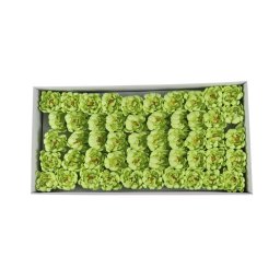 Nuferi din sapun, 50 buc/set / CD4083-verde