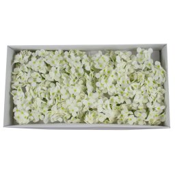 Hortensie sapun 36/set / CD3444-alb Ivoire 18