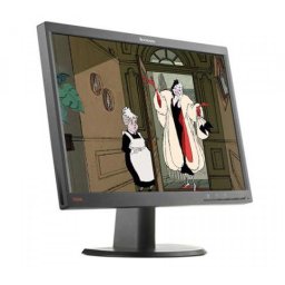 Monitor second hand Lenovo LT2252P, 22 inch LCD, VGA, DVI, 1680x1050
