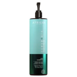 Șampon pentru Întreținerea Tratamentelor de Îndreptare Atricos Howsmooth Liss, 1000 ml