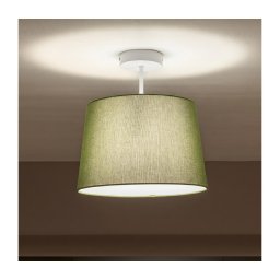 Brilagi - Lustră aplicată cu LED CERIA 1xE27/60W/230V Ø 30 cm alb/verde