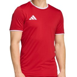 Tricou Adidas Entrada 26 pentru barbati