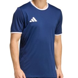Tricou Adidas Entrada 26 pentru barbati