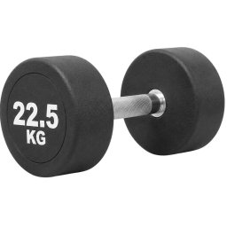 Gantera SportMann Profi CPU 22.5 kg