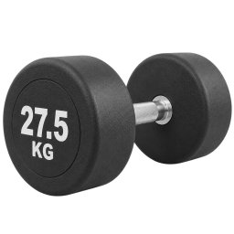 Gantera SportMann Profi CPU 27.5 kg