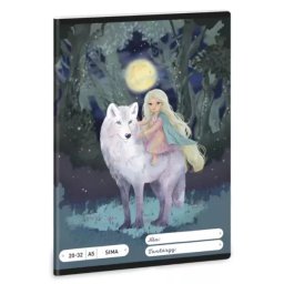 Luminile Nordului: Caiet simplu - format A5