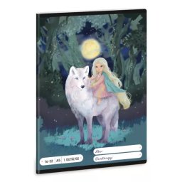 Northern Lights: Caiet dictando – clasa I, format A5