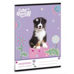 Animale drăguțe: Caiet de lecții australian - format A5