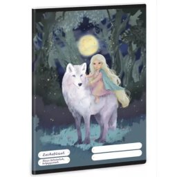 Northern Lights: Caiet de lecții - format A5