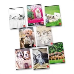 Pigna: Dolci Cuccioli caiet cu pătrățele - A4, modele diverse