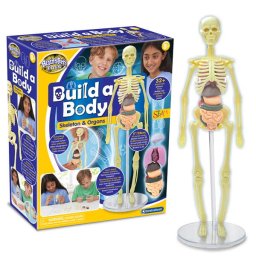 Macheta educativa a corpului uman cu organe detasabile, 28 cm, Brainstorm