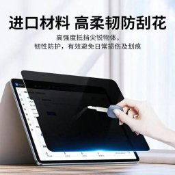 PRIVACY FILTER 2-WAY IPAD 10.2