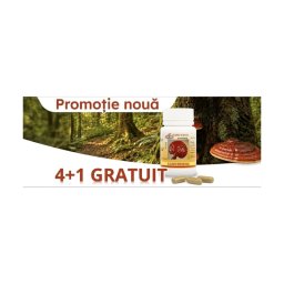 Pachet Promoțional - Ganoderma Capsule