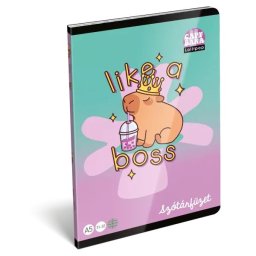 Lollipop Capybara: Caiet de vocabular – format A5