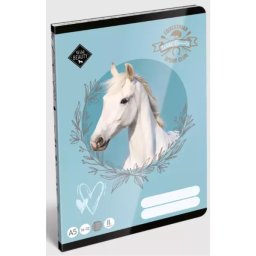 Wild Beauty: Caiet dictando – format A5, clasa a II-a