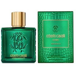 Uomo Verde Assoluto EDP