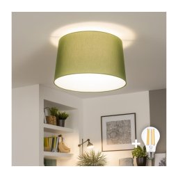 Brilagi - Plafonieră LED aplicată CERIA 1xE27/40W/230V Ø45 cm verde