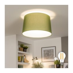 Brilagi - Lustră aplicată LED CERIA, 1xE27/40W/230V, Ø 45 cm, verde