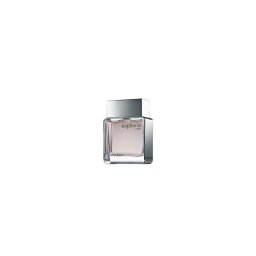 Calvin Klein Euphoria Tester EDT 100 ml