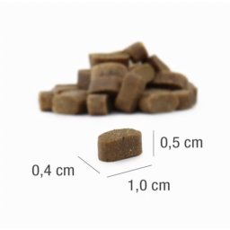 Platinum Adult Lamb Rice Mini 900g