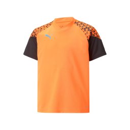 PUMA Tricou funcțional 'Individual Cup' gri argintiu / portocaliu / negru