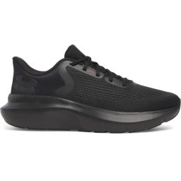 Men's shoes Under Armour Charged Rogue 5