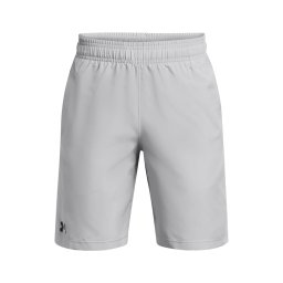 UNDER ARMOUR Pantaloni sport gri / negru