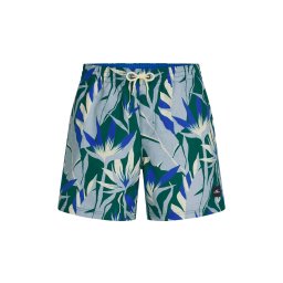 O'NEILL Pantaloni scurți apă șamoa / albastru regal / albastru porumbel / verde