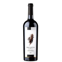 Vin Rosu Bacanta Girboiu, Syrah, 0.75 l