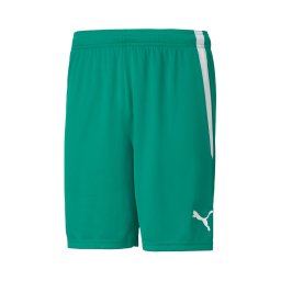PUMA Pantaloni sport verde / alb