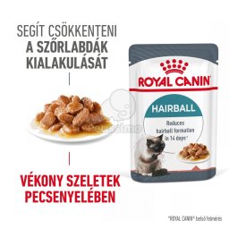 Royal Canin Hairball Care - în sos 12 x 85 g