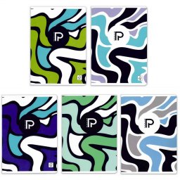 Caiet A5, 48 file, hartie 80 g/mp, Paperland Select