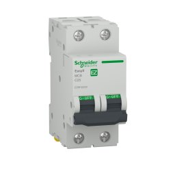 Easy9 Intreruptor automat siguranta 2P 4500 A C 25A Schneider EZ9F32225