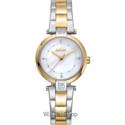 DKNY DKNY DK1L043M0075 Ladies Watch Essential Mini Two Tone 28mm 5ATM DK1L043M0075