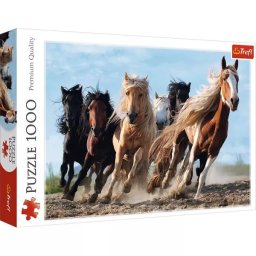 Cai galopând puzzle cu 1000 piese
