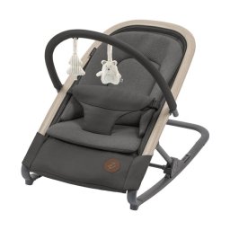 Leagan maxi-cosi kori beyond graphite eco